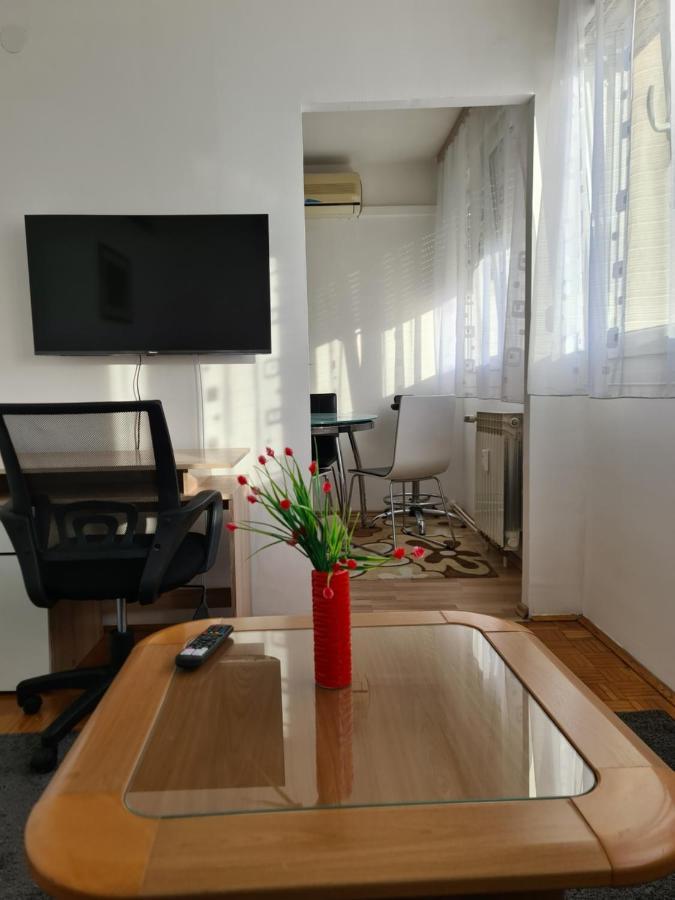 Apartman U Velikoj Gorici Zeljko Velika Gorica Dış mekan fotoğraf